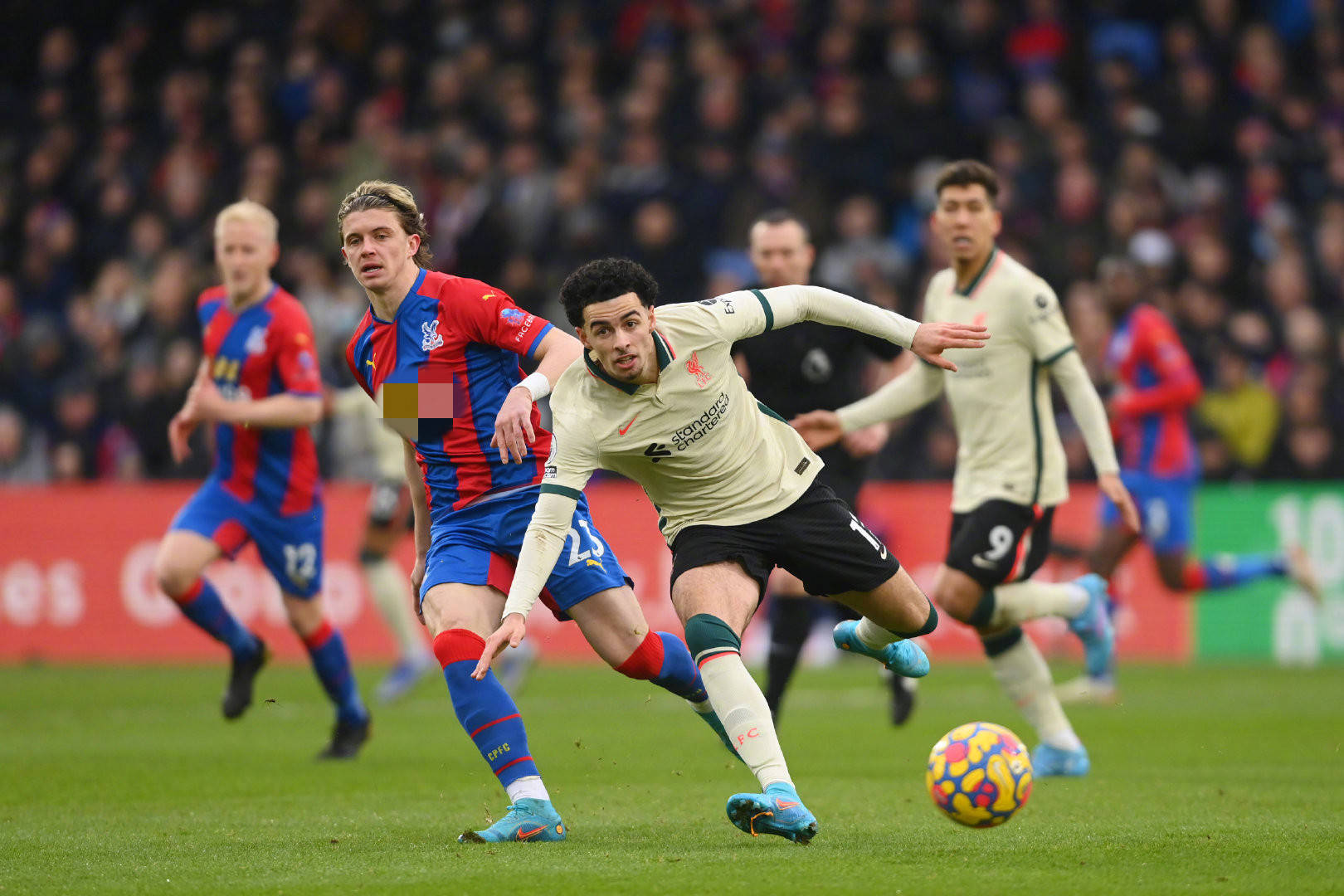 贡献关键的 贡献关键的